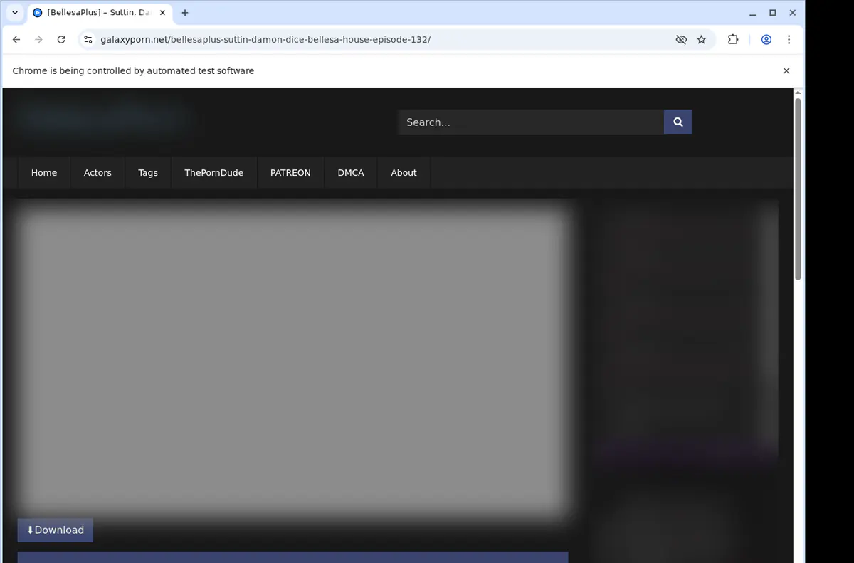 Galaxyporn Video Downloader browser extension screenshot 2